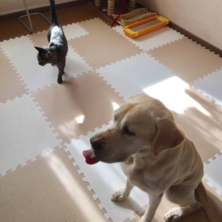 7acf5739 c8b3 4fe0 bf36 6b30239af9e0 1550660487492