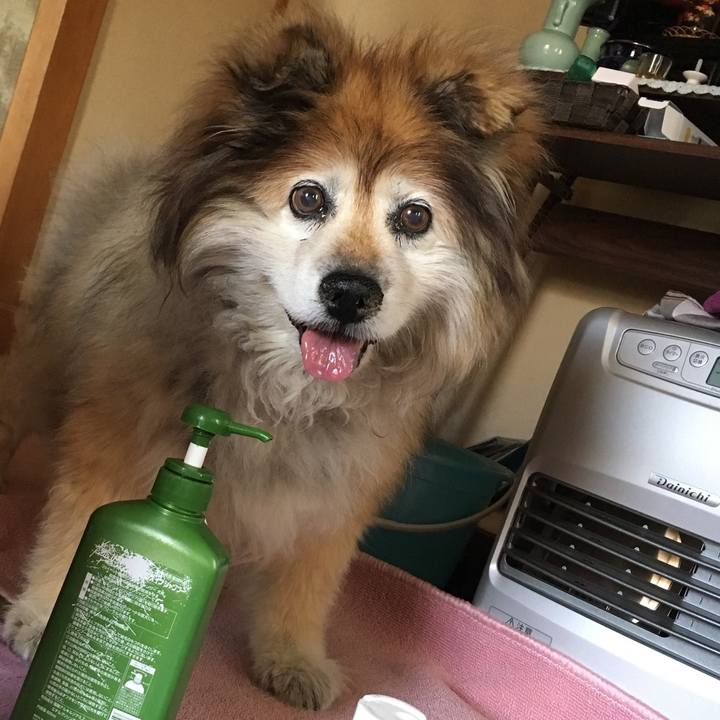 7acf5ff0 102d 4169 94bf 3fe695f8f47c 1584003435912