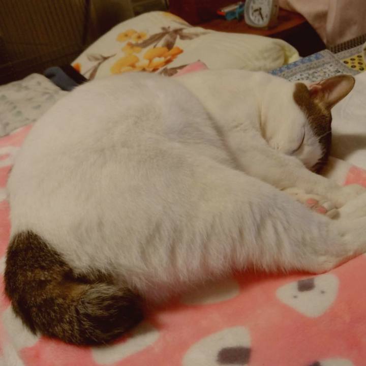 7acf6649 f9f2 4af5 8756 b879df621214 1698233474251