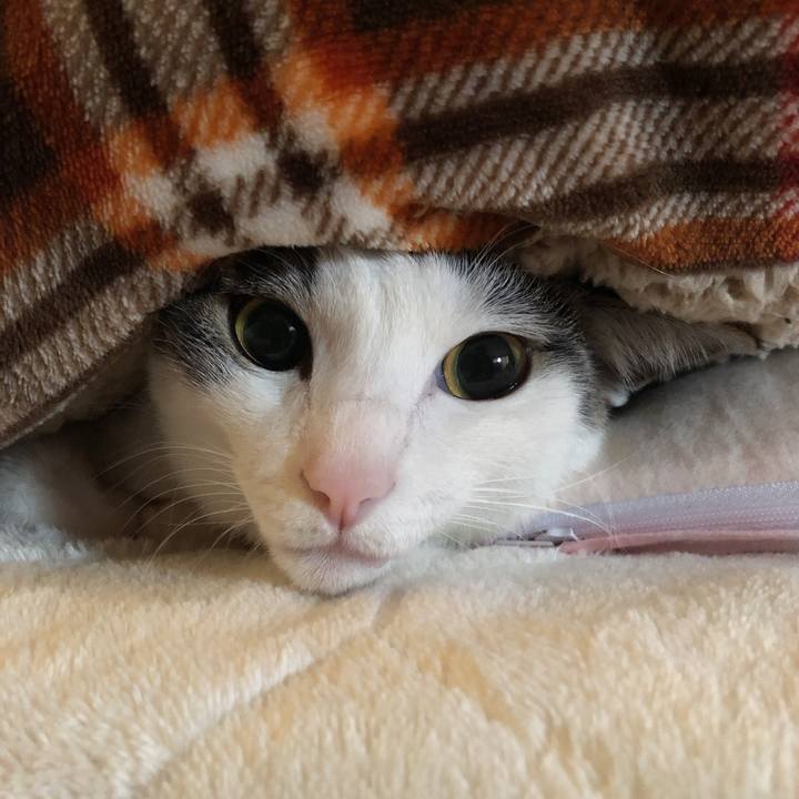 7acfb327 4a8a 4868 960e fb3a240f7e73 1609626912281