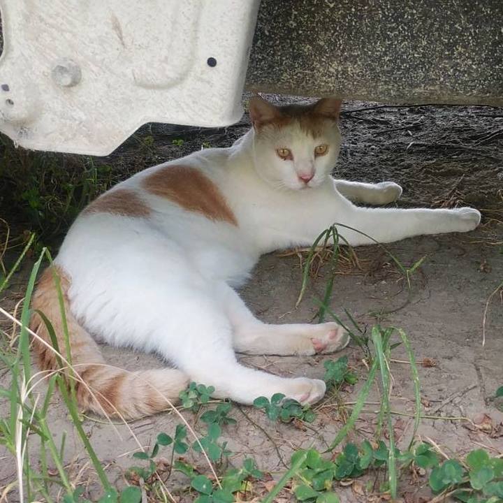 7acfe1ce d012 4365 a259 ee566561d828 1597968032299