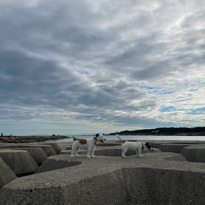 7acff2e3 80ea 453f b26a 180dd7866408 1630625524685