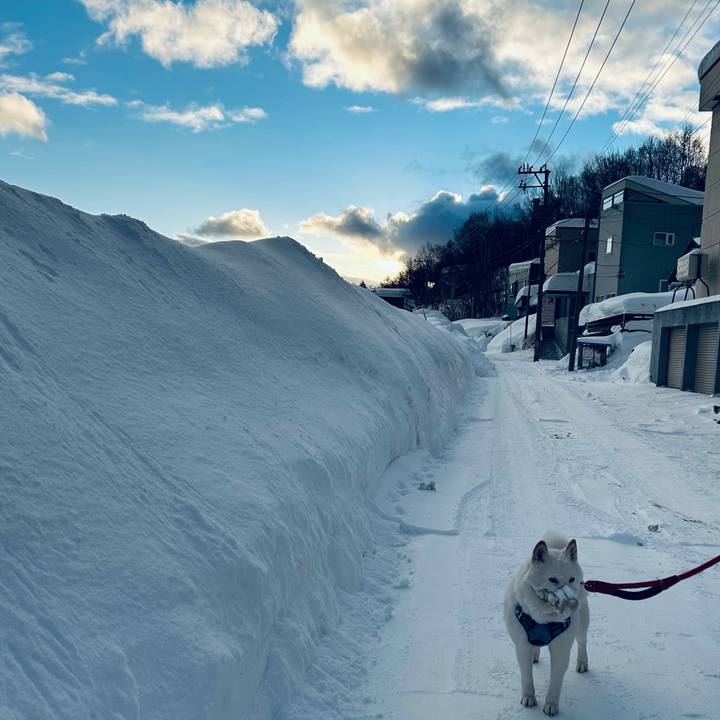 7ad03b71 41c1 4b2c 9ec2 b715de9cc7b8 1740090507507