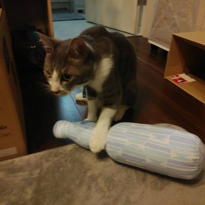 7ad05223 3c1d 4622 9629 8acc5ad1693d 1593952041761