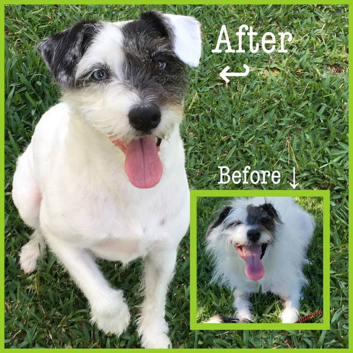 7ad05578 6ef2 434c a9fa 4e72e55a9880 1528287989217