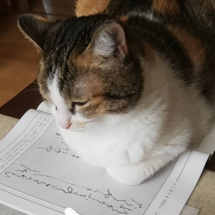 7ad05c54 0ed2 473a a63a 7bb93e48db4f 1682288531116