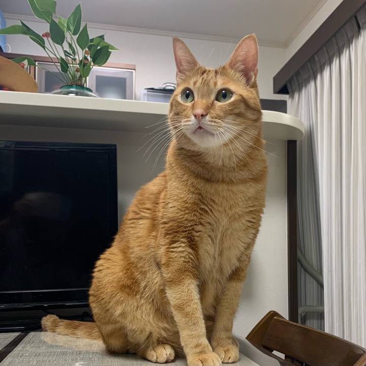 7ad064d9 82de 465c 846d 4875e2869b06 1606773831999