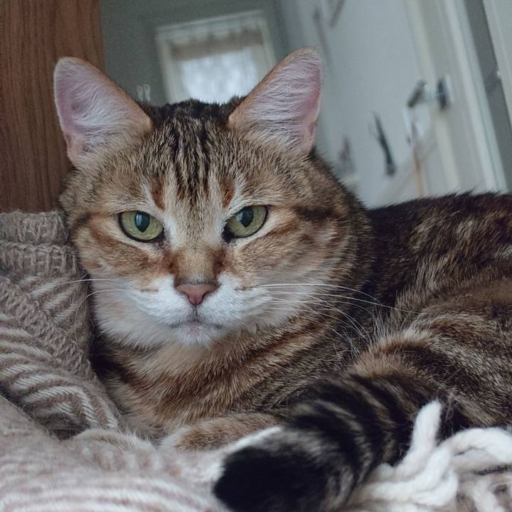 7ad068c1 b872 4c98 b28b 366be7f50dea 1773635438243