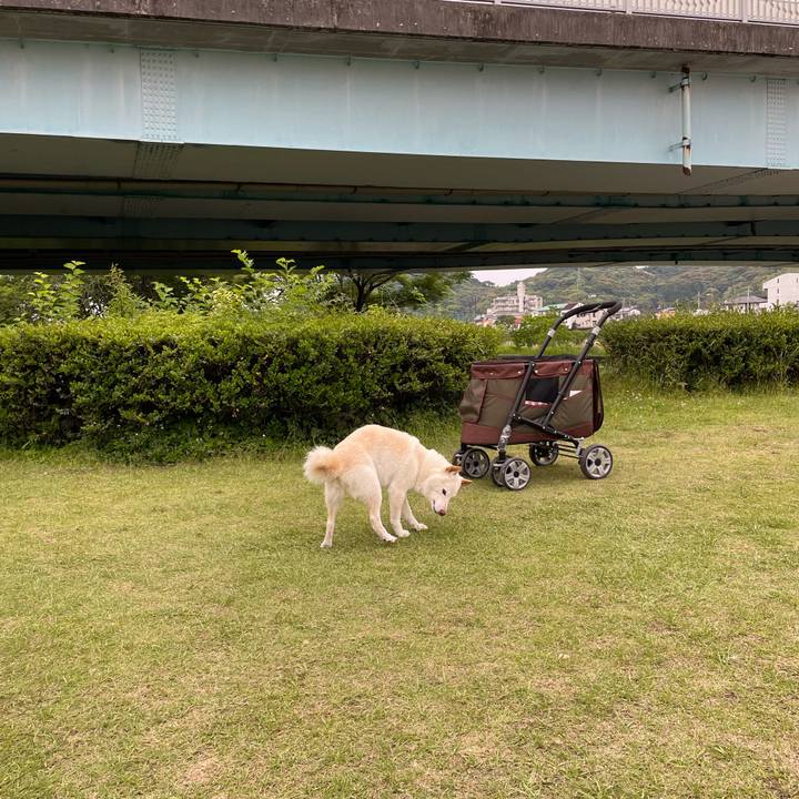 7ad07295 69b4 4285 bf31 322f64684357 1653054267991