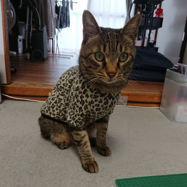 7ad094f4 36ad 481c be93 ee254272234d 1563174409543