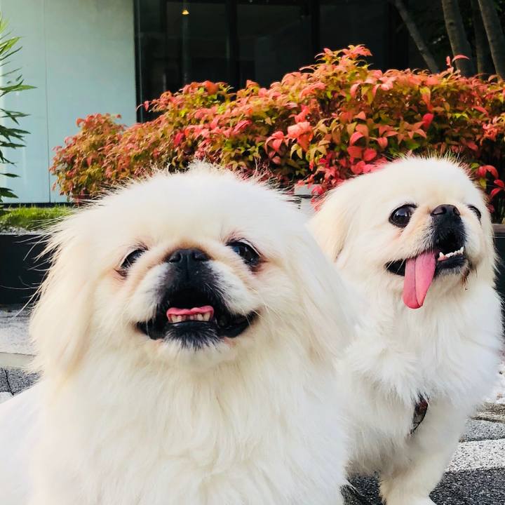 7ad0ac95 16e8 42d3 bc4f 27b006ed8844 1593378078759