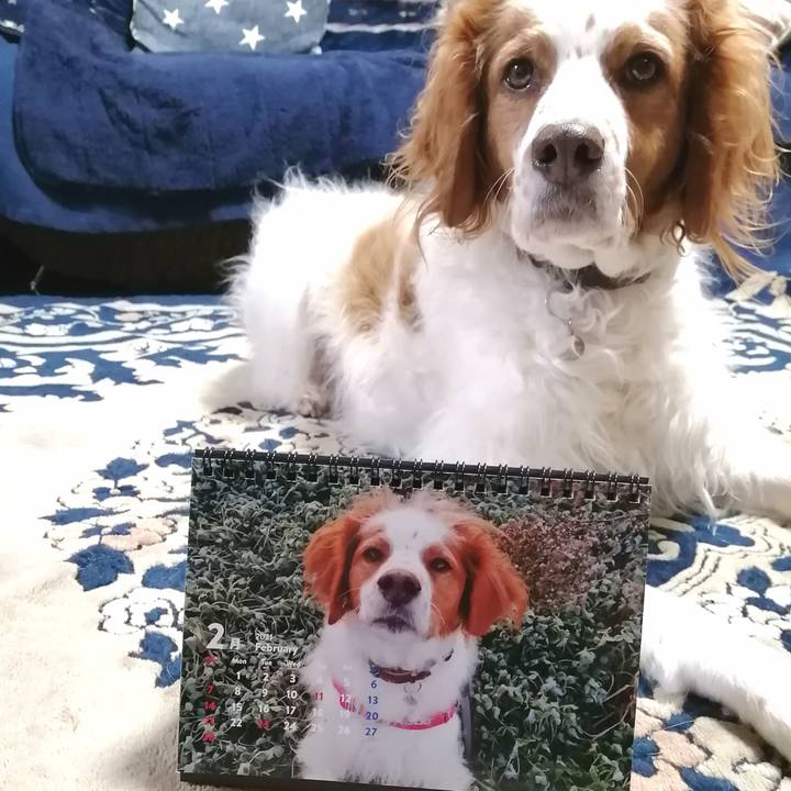 7ad0c126 3933 406d 959f 7a0b13e85b02 1612180870654