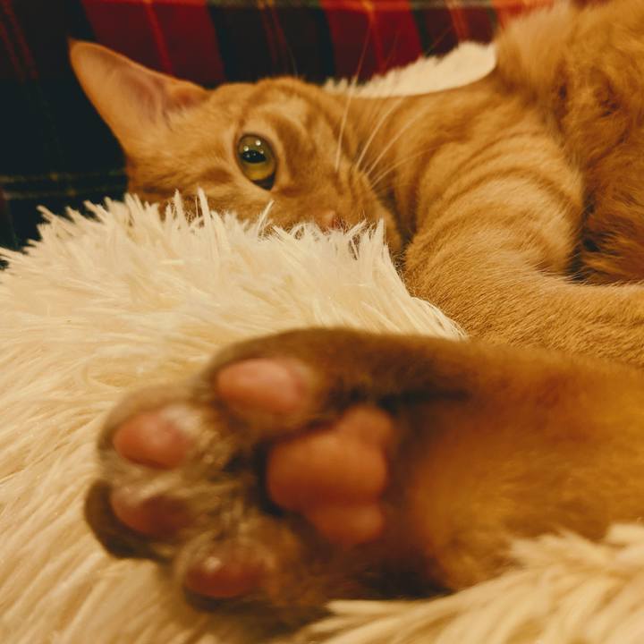 7ad1145f 513a 4f4d 9ebd 676d82301e72 1625305471868