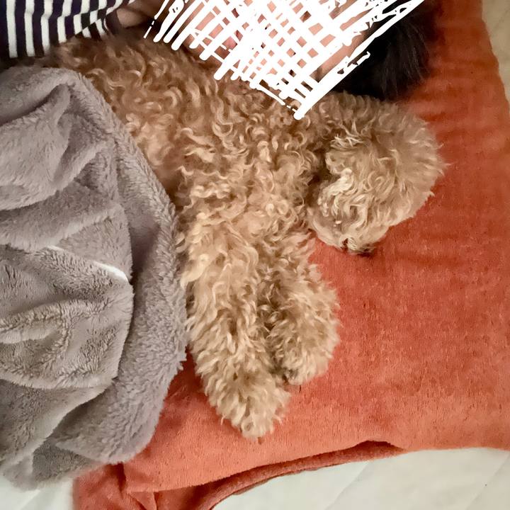 7ad11572 88c7 4c04 8c38 8e425547a7df 1761367210387