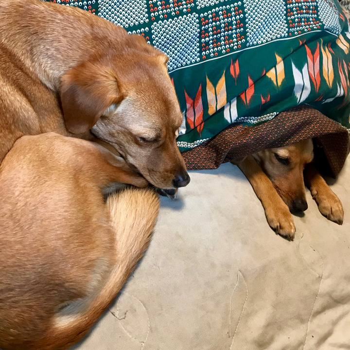 7ad13f53 4669 4f5e b54e 0b318b7600b7 1521471344616