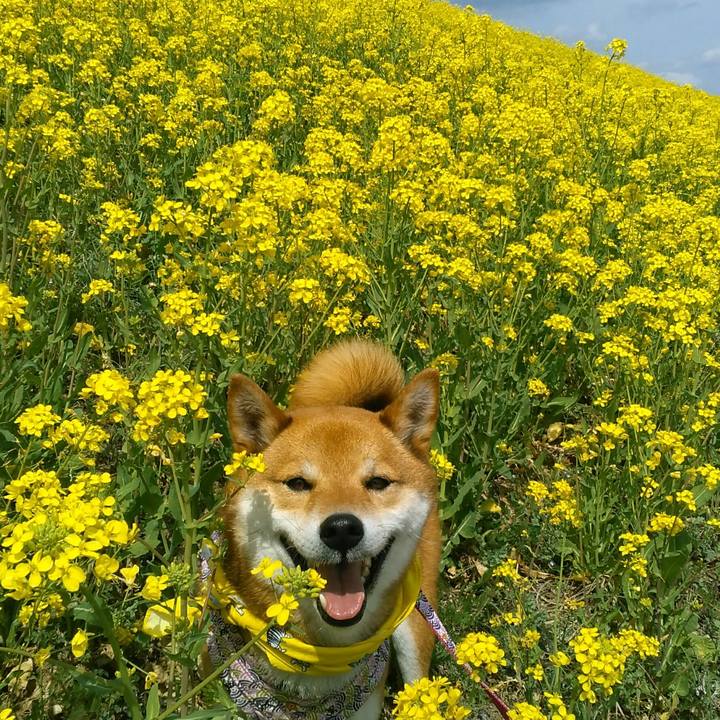 7ad14013 53a0 44b8 962b d474e937f55e 1521859544728