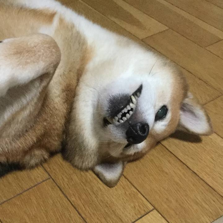 7ad168d0 4a89 4096 ad82 b194bf2e4e61 1615160111111