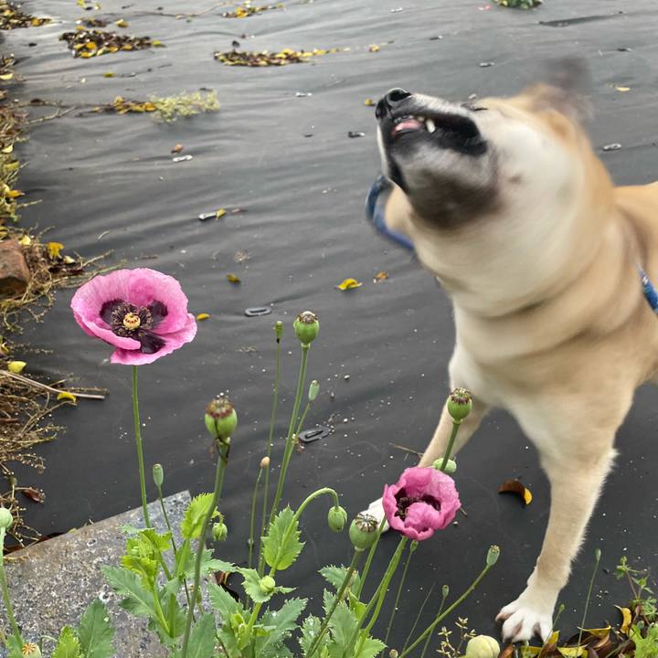 7ad19340 3c69 45cc 9452 2bba585a9a0b 1651063763653