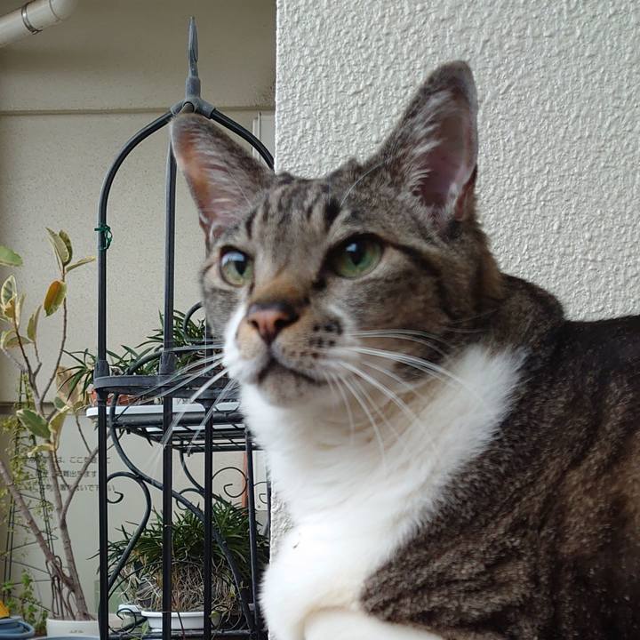 7ad1a2d9 27a8 4110 abe8 6c08b9fd34e4 1679532482769