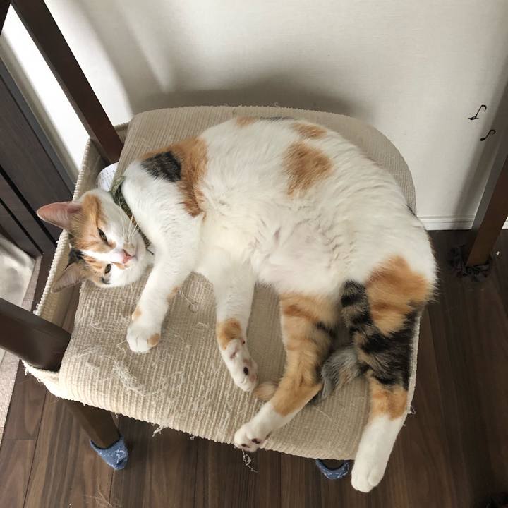 7ad1a5d0 5e09 4b97 a6df 273fa9cc76b7 1594252034034