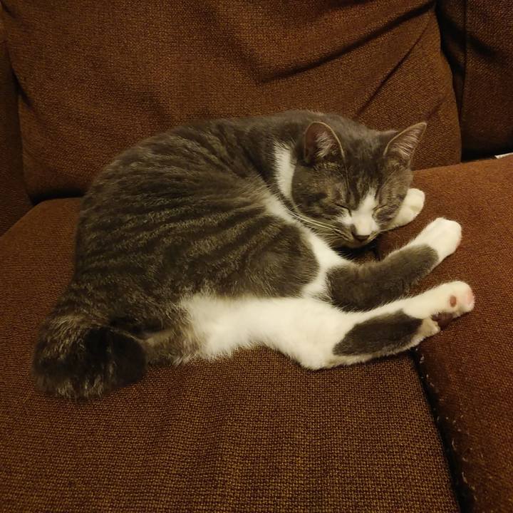 7ad1b4b0 9cda 4e4d bec1 a5d4433173bb 1578152483328