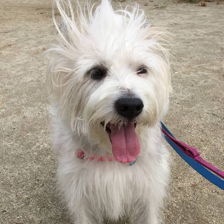 7ad1e0a8 09e3 4481 959f 8b5fffae004b 1601885536643