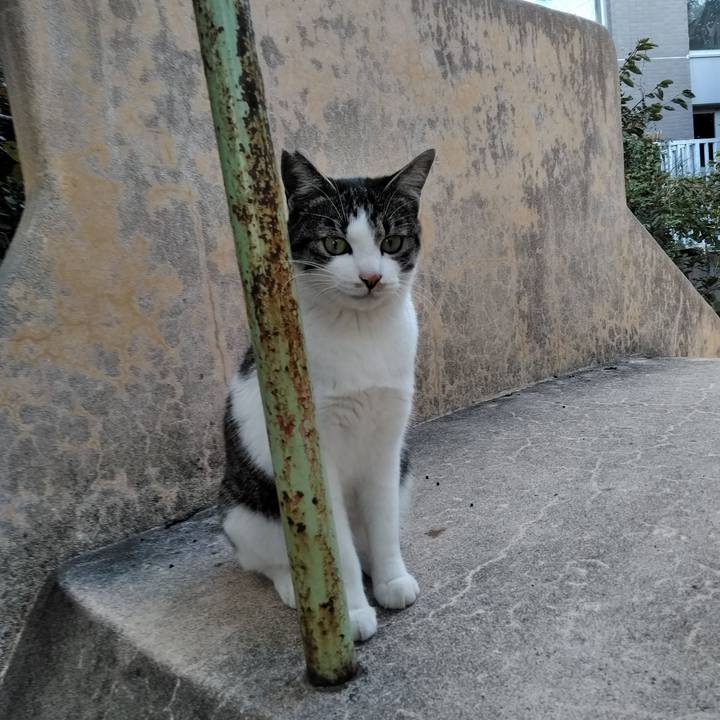 7ad1efda b41c 4f74 b155 e876d98297f9 1573285032806