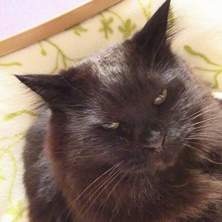 7ad20320 7278 4642 933d c72094cd5eb4 1522844206050