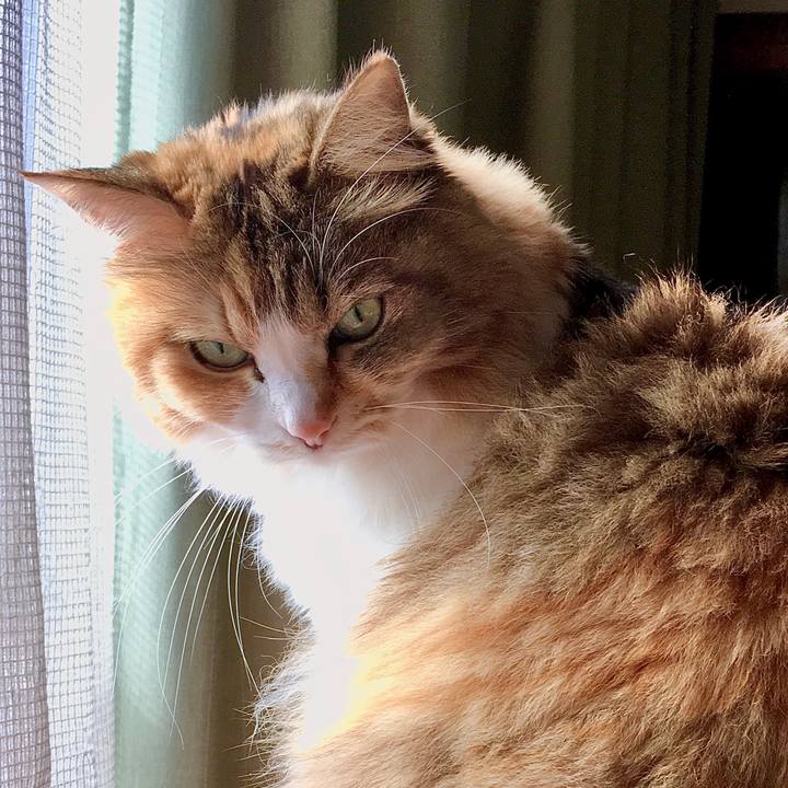 7ad242e8 a9b2 4266 9d22 456cc4c367c3 1575959531498