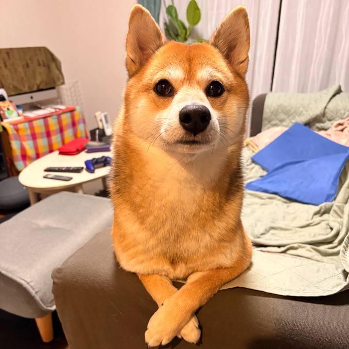 7ad25262 6a2b 43dc b6ed 8ffaff0bd597 1761965462180