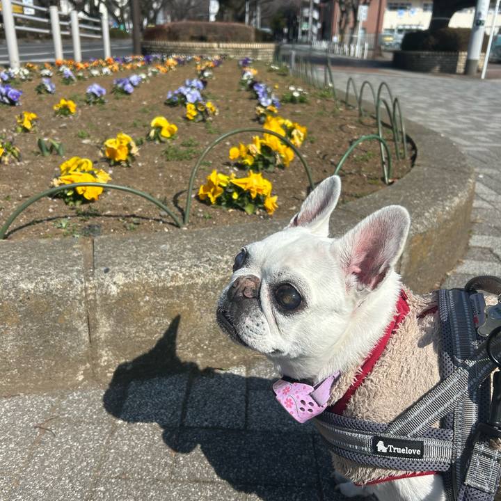 7ad28aff bdd7 4577 b6d1 283b0e0f383f 1771738065750