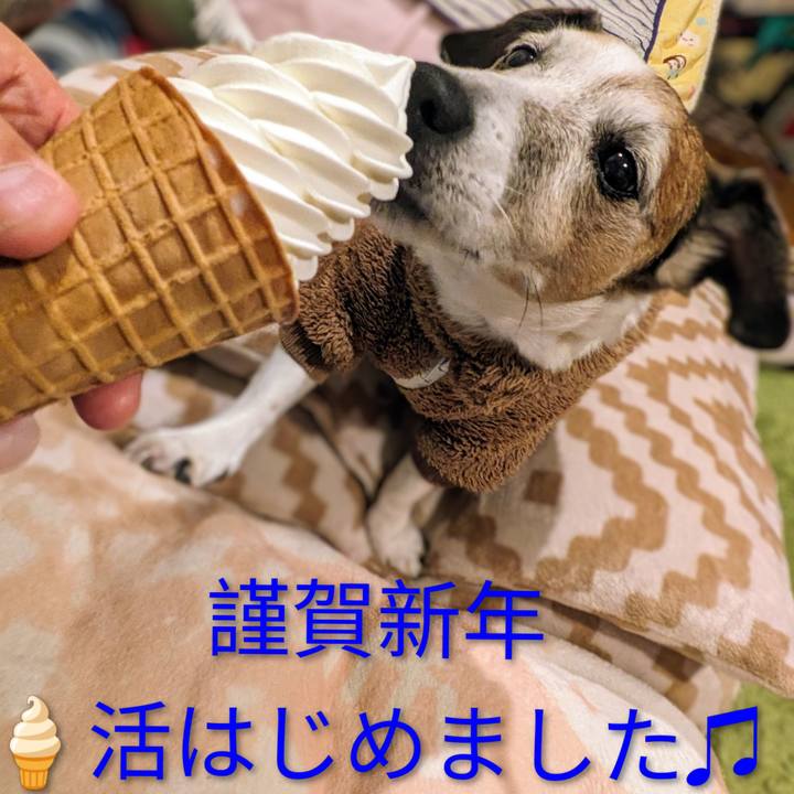 7ad28fb4 0db7 4b0c 96c1 e82b045b6161 1767399538127