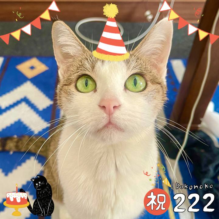 7ad2e0fb 9ce8 4797 bb0f 7ec86273b628 1645523954612