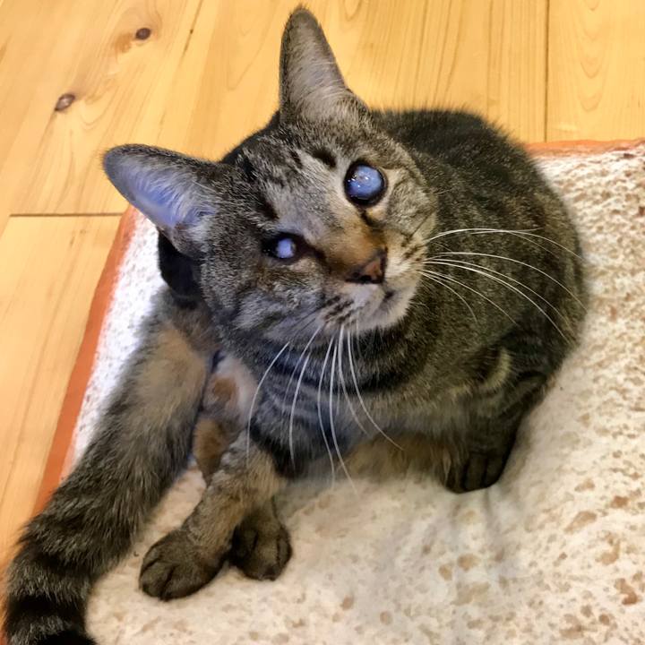 7ad369b9 42f0 4846 af45 da94219e23ac 1556538609166