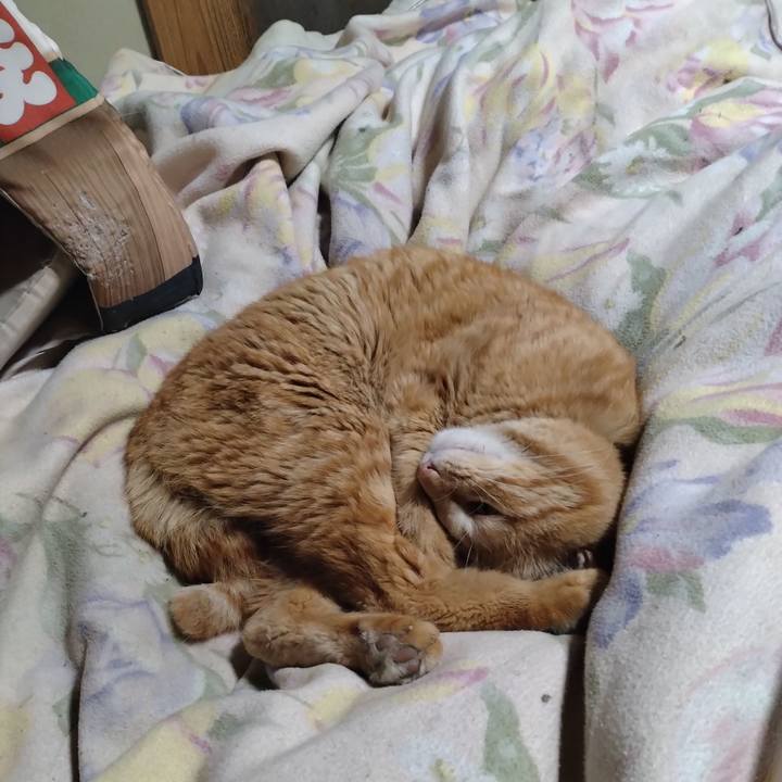 7ad3869a 7010 42d0 87b3 35462c0fb0e1 1677849360209