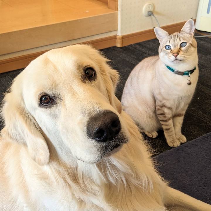 7ad386e2 3bd8 4873 9873 8710cb96096d 1763852477377