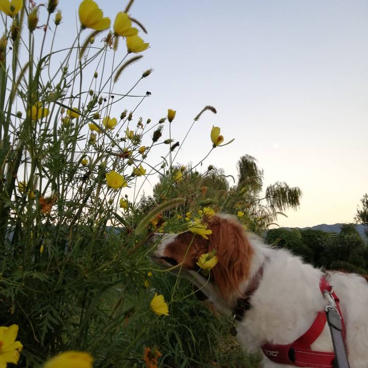 7ad3936f ffe3 4da3 af20 dc0b1e685522 1568114747362