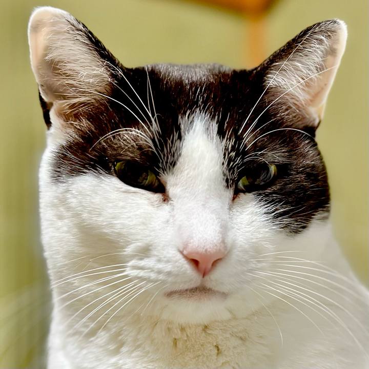 7ad3be92 3707 431f 9890 82c31fef1113 1681782806287