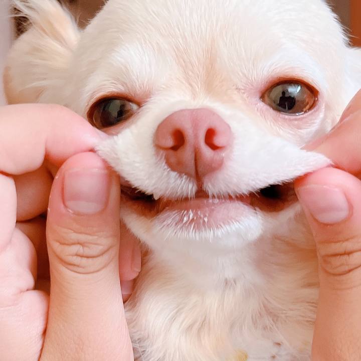 7ad3c58c 3afa 4e8f 8f83 3c2a71ff5125 1659178123853