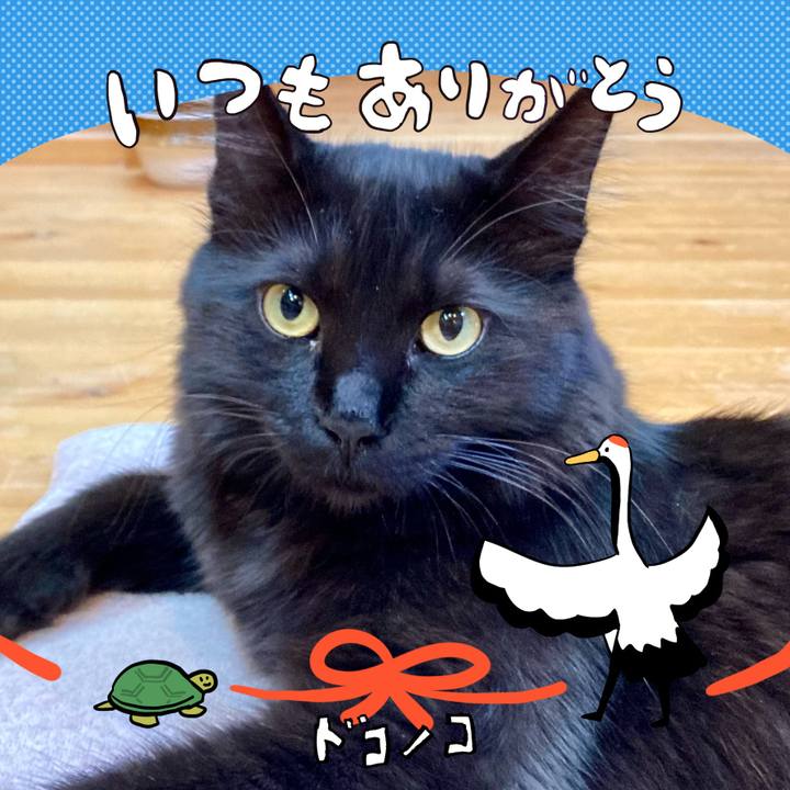 7ad3dd2c f3ad 43a8 9907 9f1dbc78e55a 1727335180883