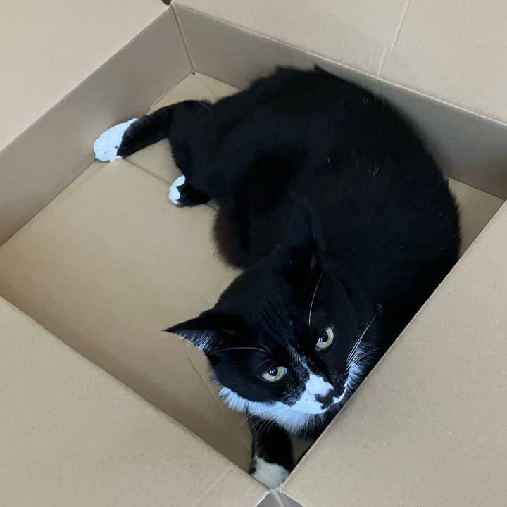 7ad40902 f1c5 477a 81ab faddd0397bf5 1760332743654