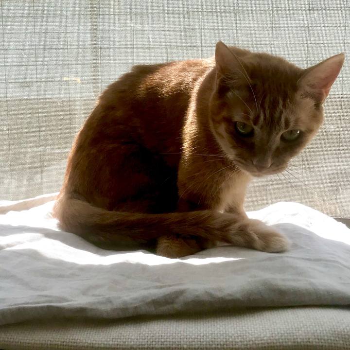 7ad4211a df72 4a39 9692 6c9029c5863a 1552458049974