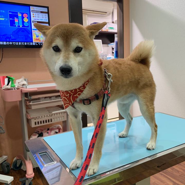 7ad45289 c2e5 4eb7 8d78 ba273bfcf649 1573893665452