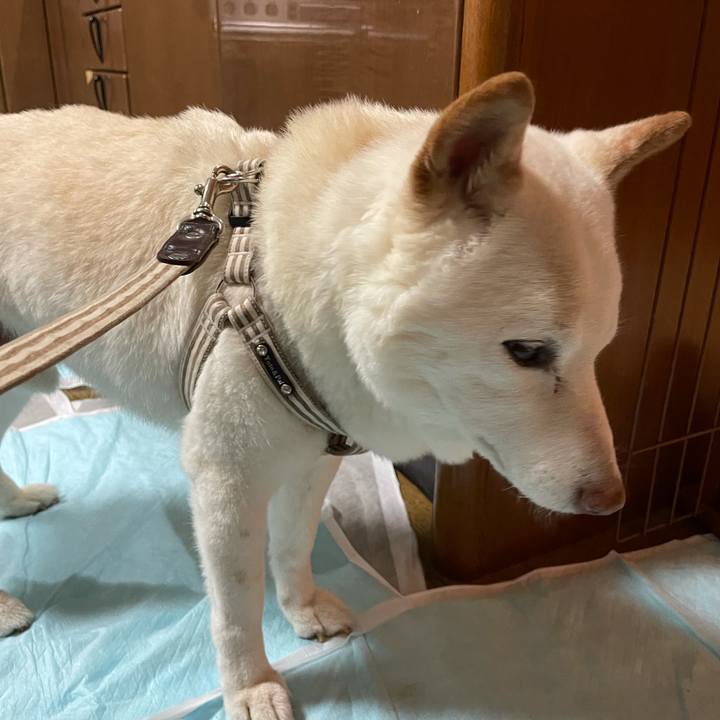 7ad4c771 3332 4b06 9c95 262df8ee5714 1634217019115