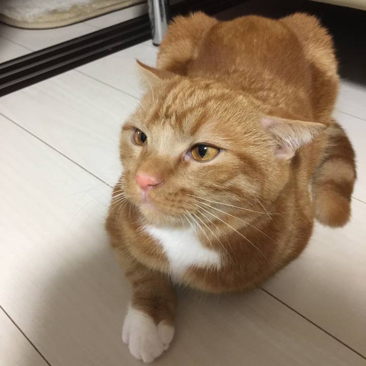 7ad4d5c2 a6ba 4af5 bf39 b1566328f3b1 1511136127976