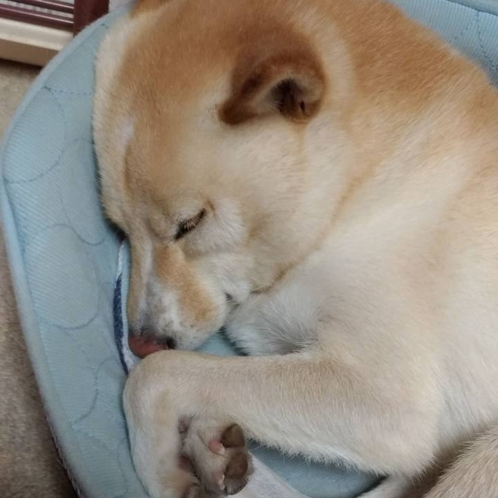 7ad50ce8 986c 47b6 94ad e4f938533583 1570280422068