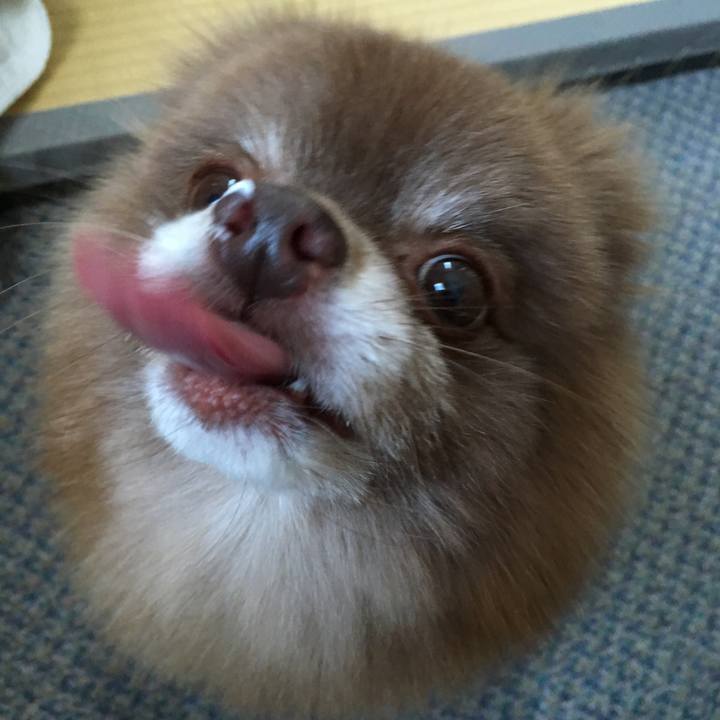 7ad51e41 d039 404b ab42 8308e3de35c1 1514441370250