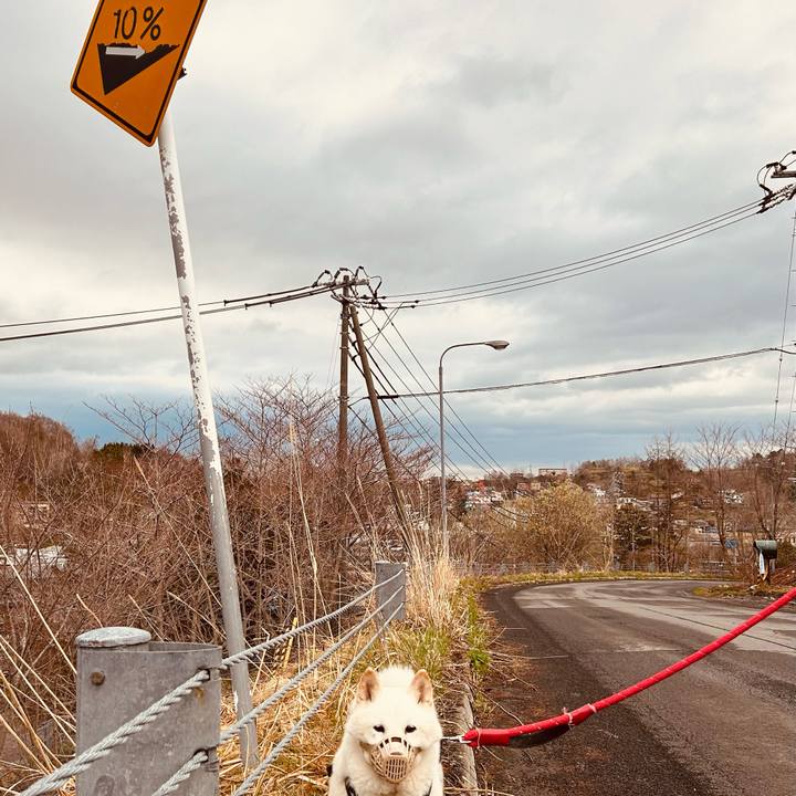 7ad534e9 ba32 442c 889c 62a1792a2fcd 1745013227606