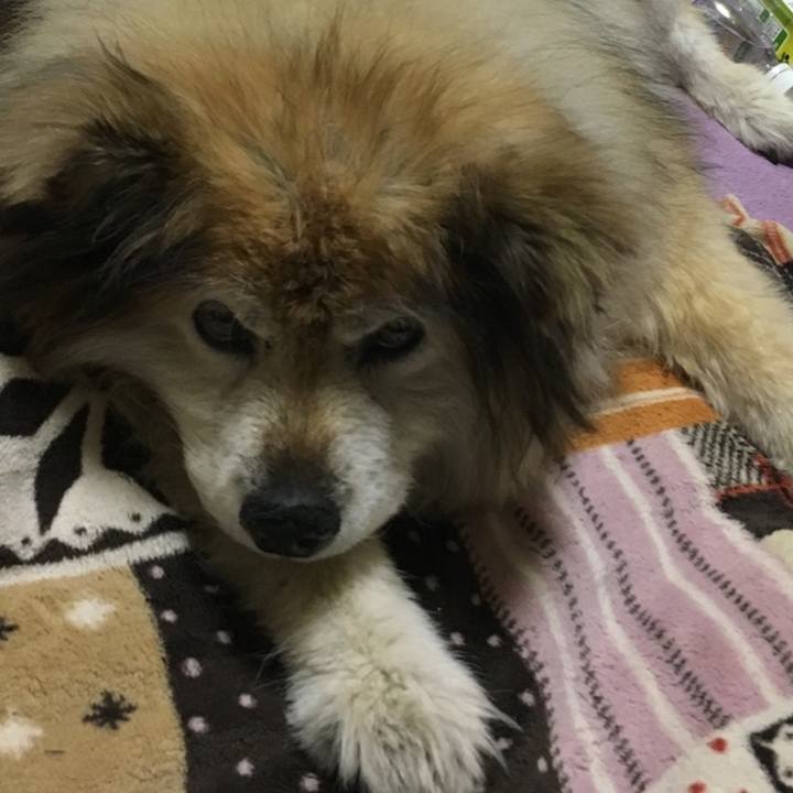 7ad54f3f 952e 49aa 8e39 63597c6a5c2b 1627745240542