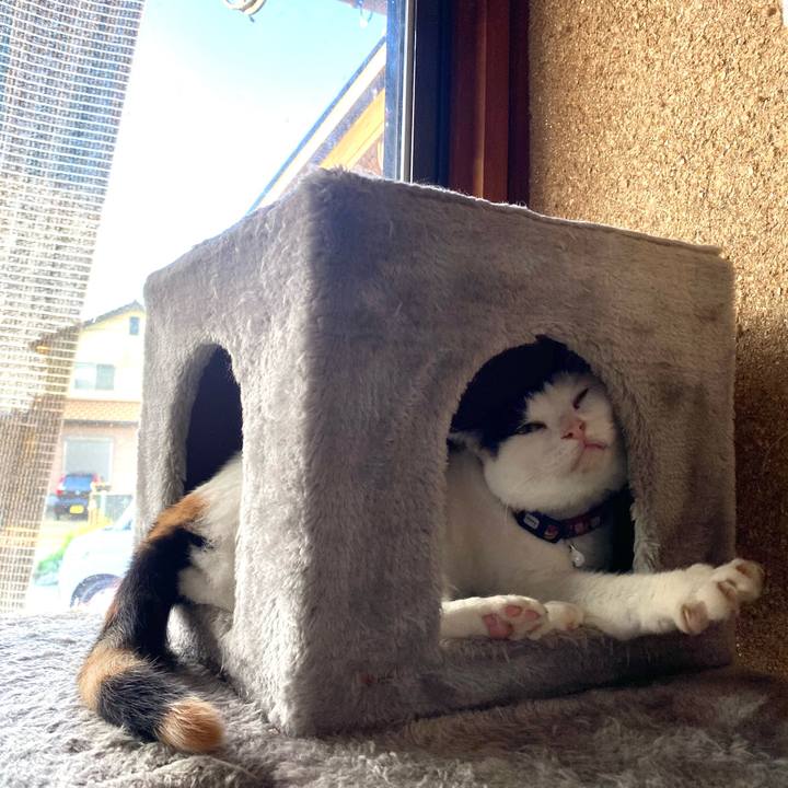 7ad560a4 5e2e 480a 856c 6f90d7b4a917 1662244497076